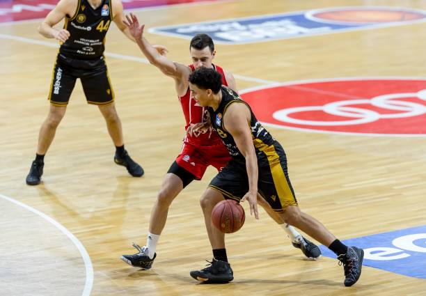 甲劲旅勒沃 甲劲旅勒沃