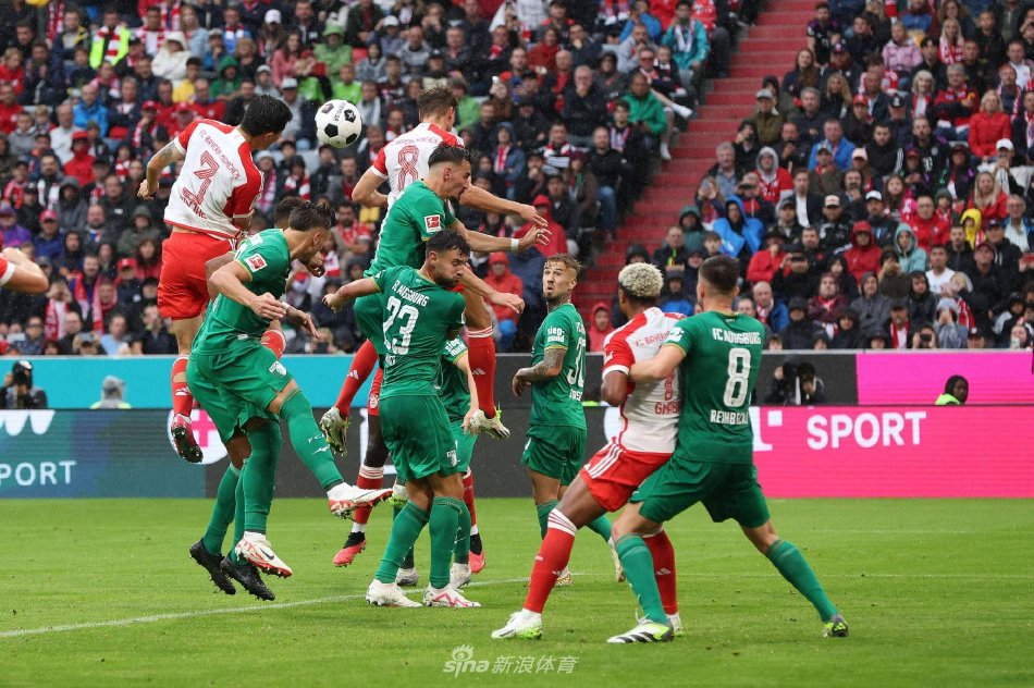 率偏低等问 率偏低等问